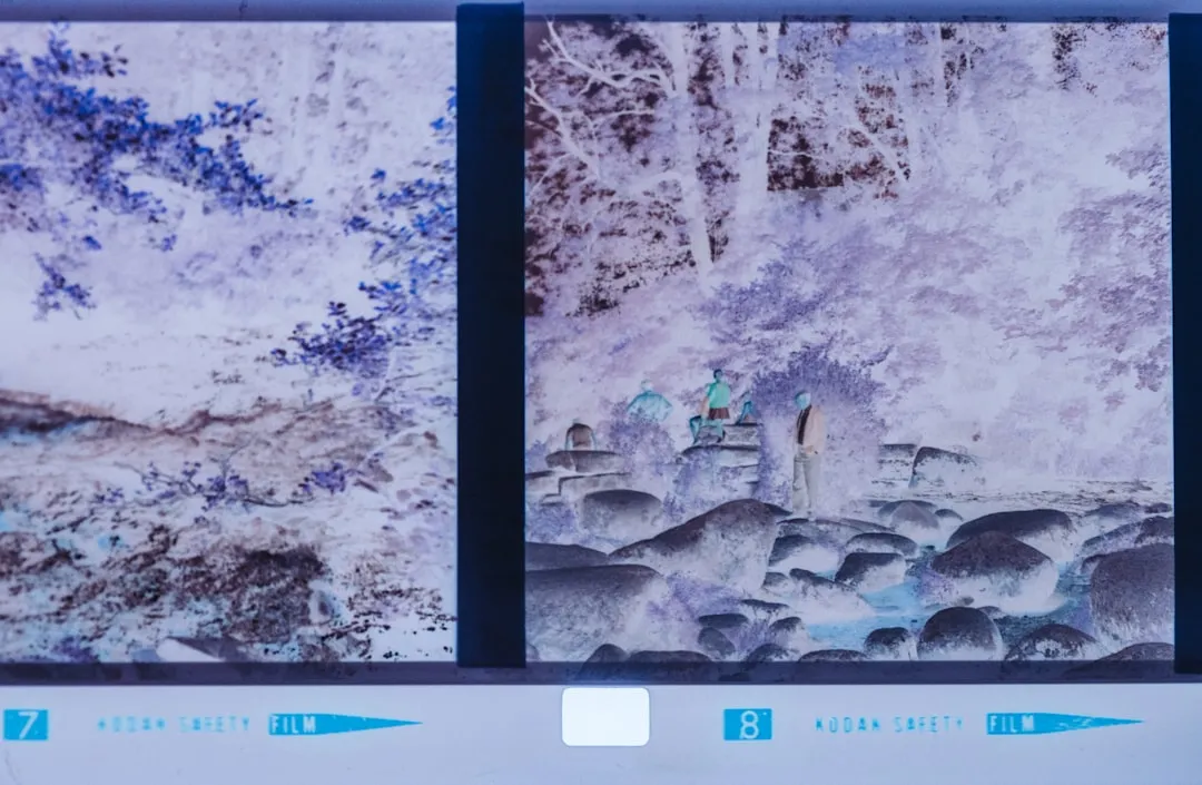 画册设计印刷工艺对比:数码快印与传统胶印的适用场景分析